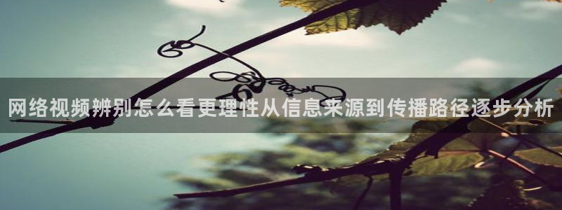 最新资讯爆料