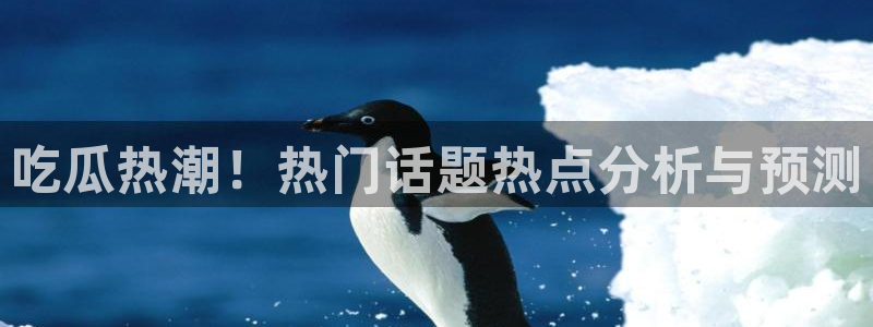 热门网络资讯