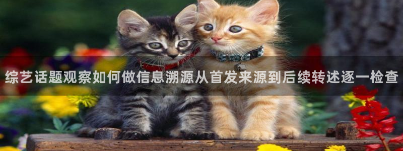 最新事件爆料：综艺话题观察如何做信息溯源从首发来源到后续转述逐一检查