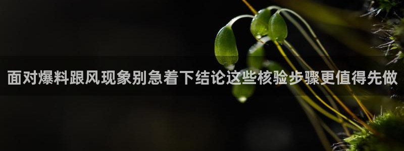话题爆料大全